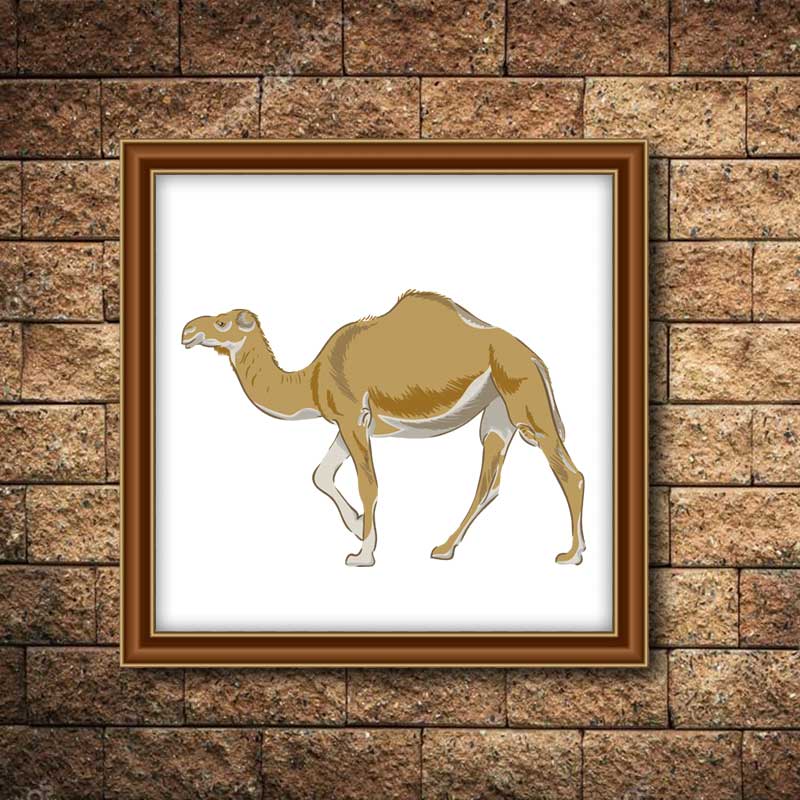 Walking Dromedary Camel Vector Art