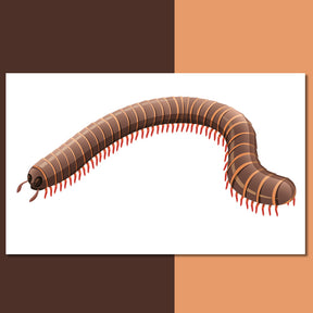 Relentless Caterpillar Vector Art