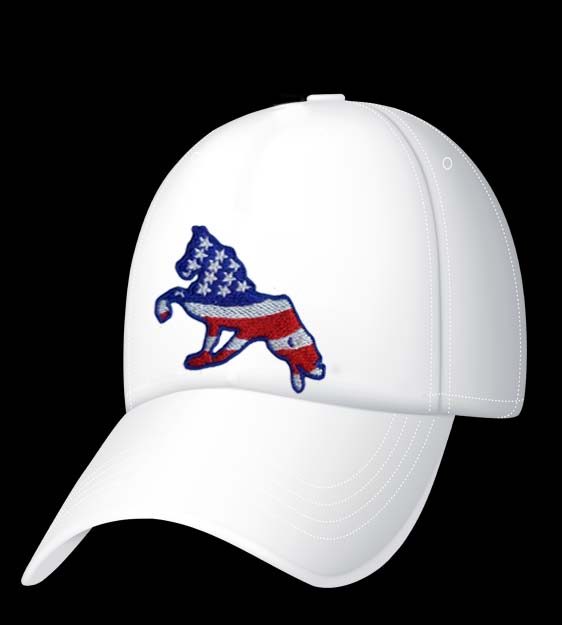 US American Flag Horse Embroidery Design
