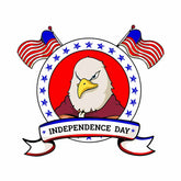 Independence Day Eagle Embroidery Design – USA Patriotic Theme