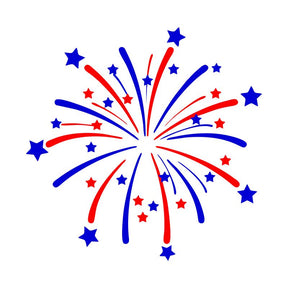 USA Independence Day Firework Vector