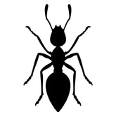 Carpenter Black Ant Silhouette Art