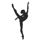 Amazing Leg Holding Technique Ballet Silhouette Art