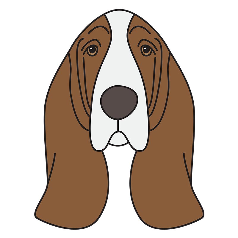 Captivating Basset Hound Face Vector Art
