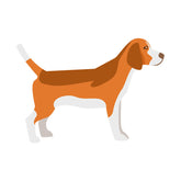 Orange and White Side View Beagle Vector Art