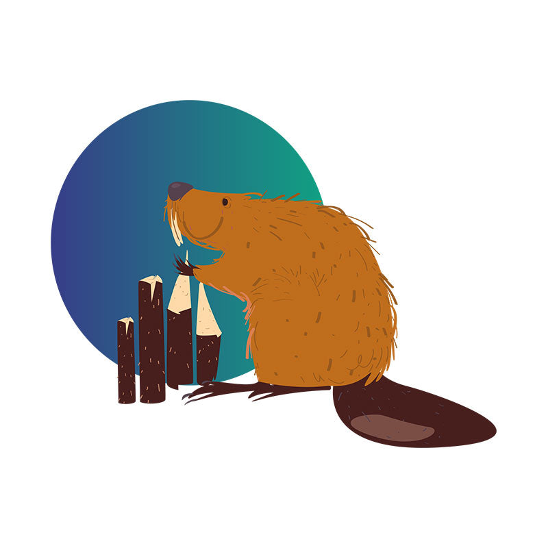 Beaver Hoarding Logs Vector Art
