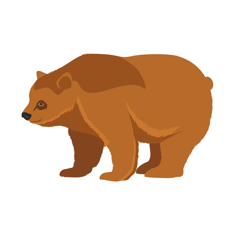 Tenacious Grizzly Bear Vector Art