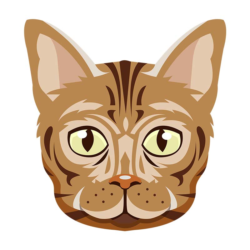 Delightful Bengal Cat Vector Art