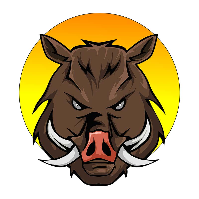 Terrifying and Determined Boar Vector Art