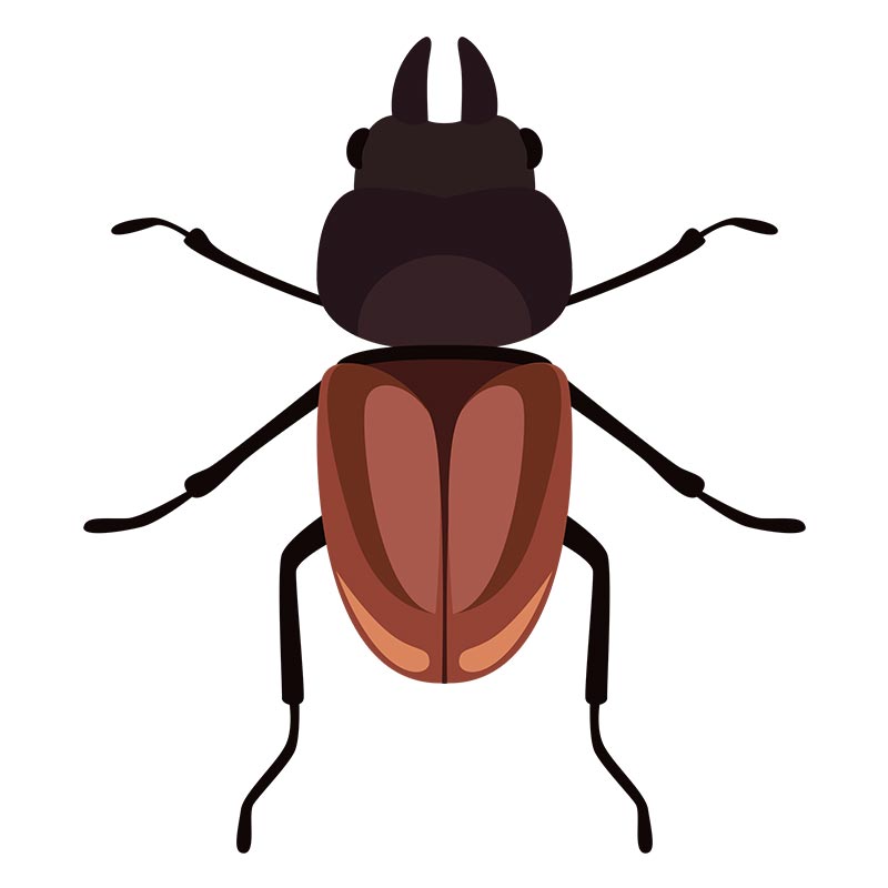 Overwhelming Stag Beetle Vector Art