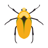 Goldsmith Scarab Beetle Vector Art