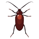 Adaptable Cockroach Vector Art