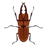 Rhinoceros Horn Beetle Vector Art