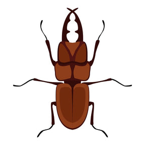 Rhinoceros Horn Beetle Vector Art