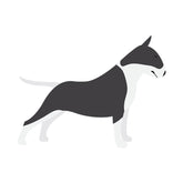 Bull Terrier Side View Vector Art