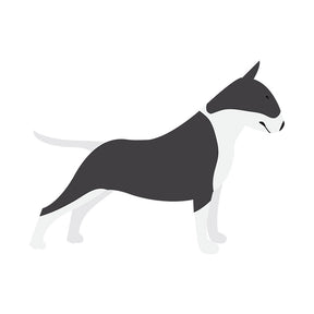 Bull Terrier Side View Vector Art