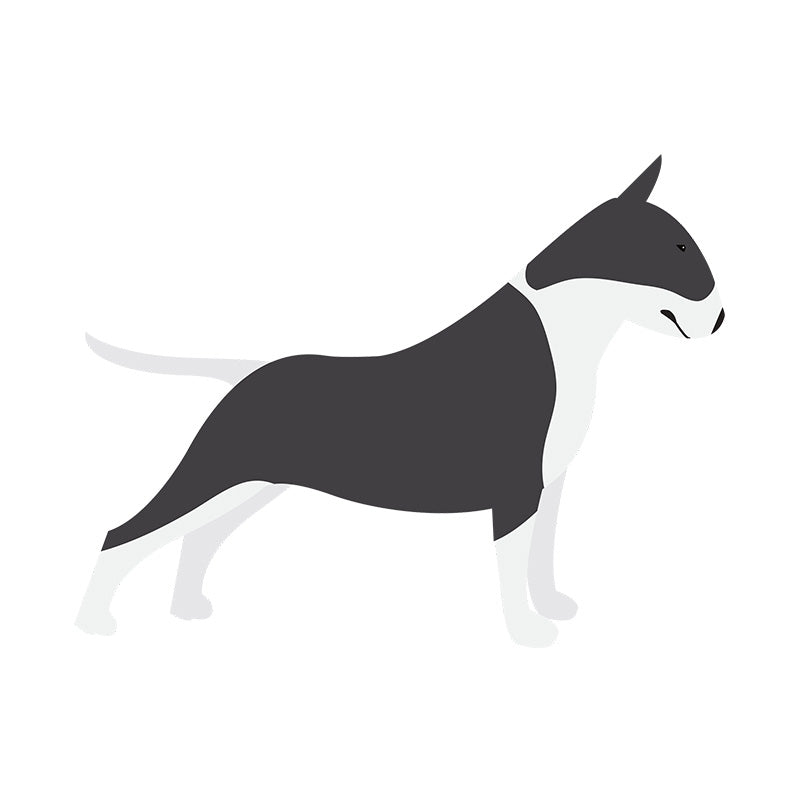 Bull Terrier Side View Vector Art