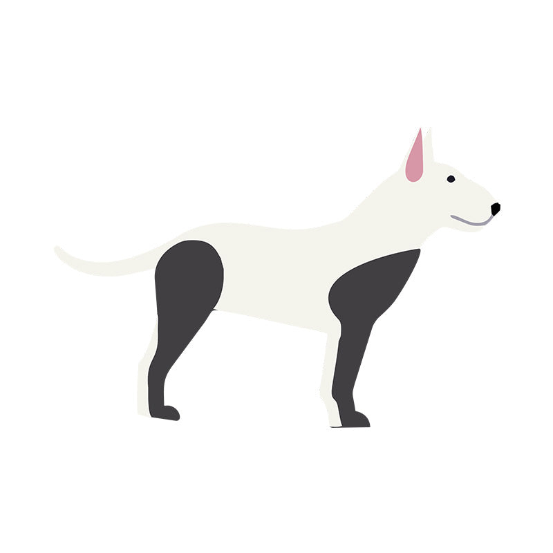 Subtle Bull Terrier Vector Art