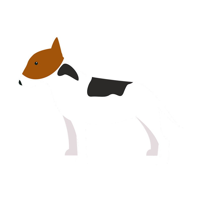 Exquisite Bull Terrier Vector Art