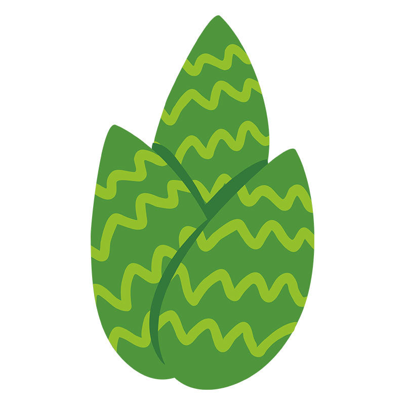 Exotic Desert Plant Vector Art