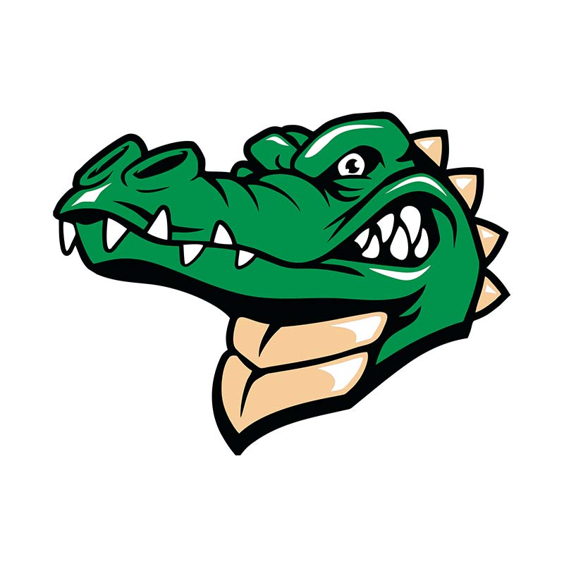 Thrilled Crocodile Face Vector Art