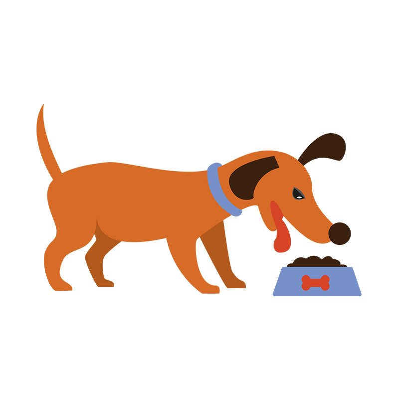 Cute Dachshund Dog Chowing Down Vector Art