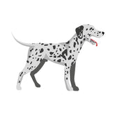 Adorable Slobbering Dalmatian Dog Vector Art