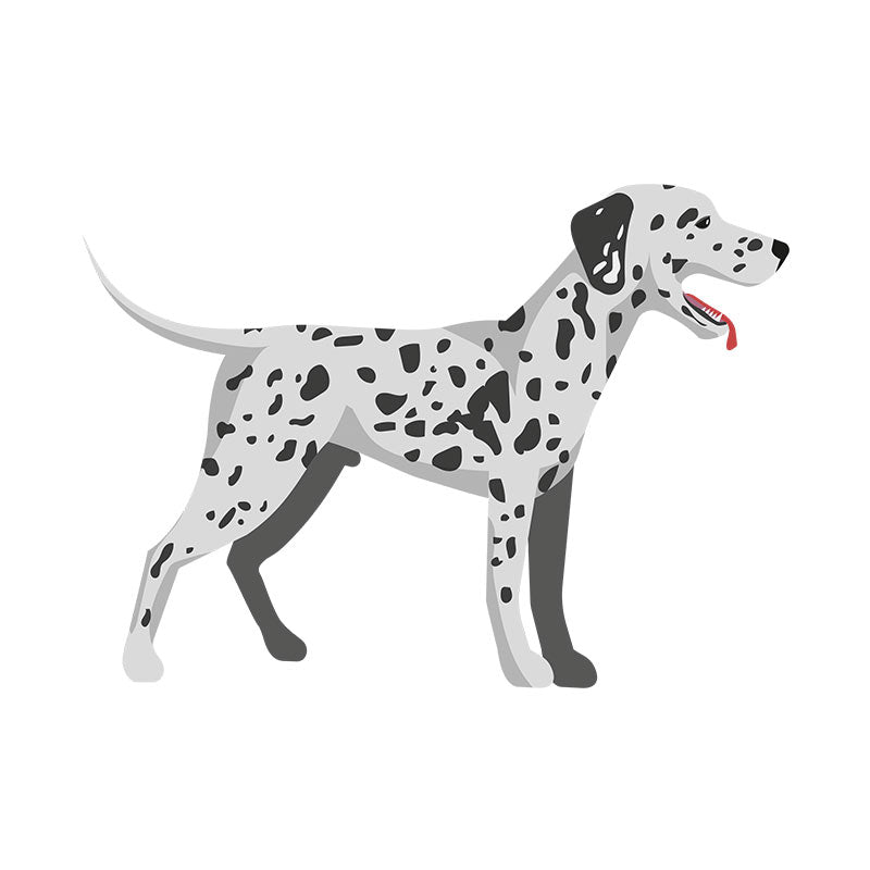 Adorable Slobbering Dalmatian Dog Vector Art