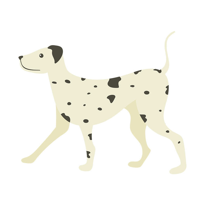 Elegant Light Colored Dalmatian Dog Vector Art