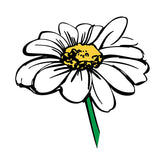 Colorful Daisy Flower Sketch Vector Art