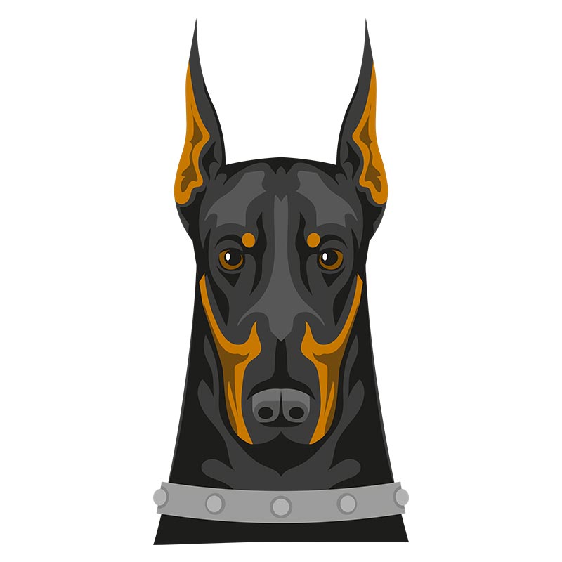 Menacing Doberman Dog Vector Art