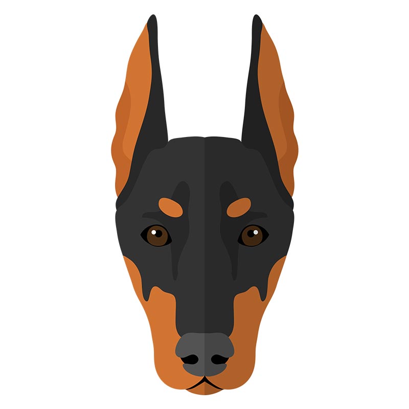 Fierce Doberman Dog Face Vector Art