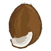 Luscious Copra Coconut Piece Vector Art