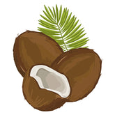 Old Brown Cococnuts with Leaves Vector Art
