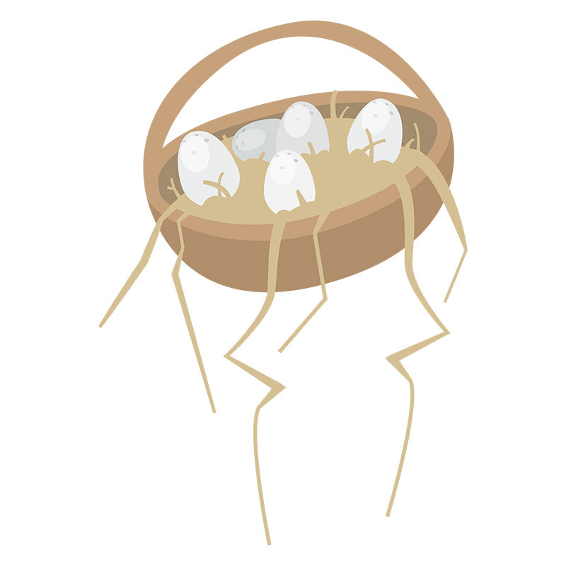 Plentiful Poultry Farm Chicken Eggs Nest Vector Art
