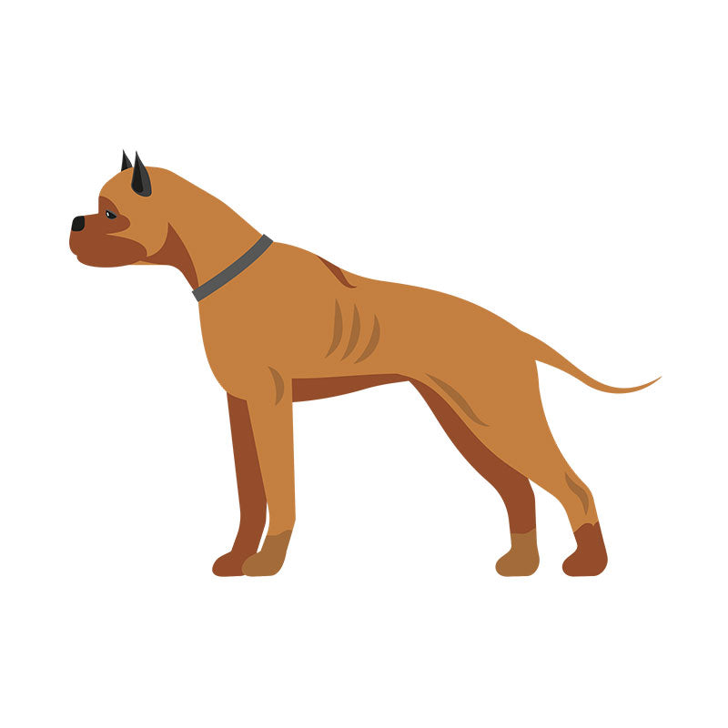 Alluring Tosa Inu Vector Art