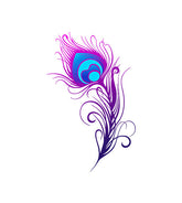 Stunning Pink Peacock Feather Vector Art