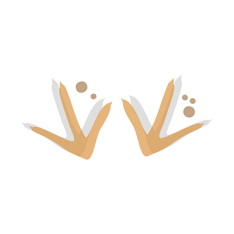Clucking Chicken Footprint Step Vector Art