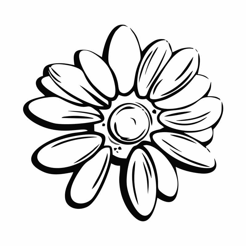 Tithonia Flower Silhouette Art
