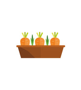 Delectable Garden Reddish Carrots Vector Art