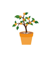 Elegant Flower Plant Garden Pot Planters Vector Art