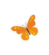 Transformed Butterfly Vector Art