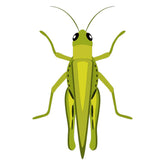 Large Green Grasshopper Insect Vector Art