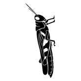 Gray Bird Grasshoppers Insect Silhouette Art