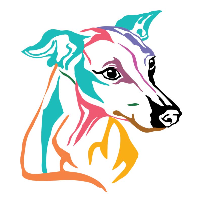 Multi Color Greyhound Face Vector