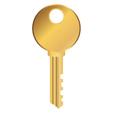 Glimmering Padlock Key Vector Art
