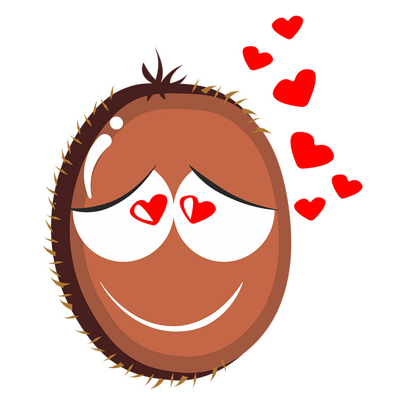 Fallen in Love Kiwi Fruit Vector Art