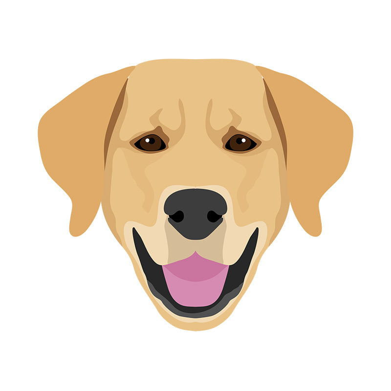 Labrador Face Vector Art