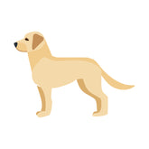 Labrador Retriever Vector