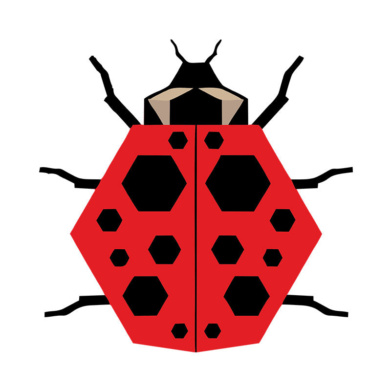 Rhombus Shaped Lady Bug Vector Art
